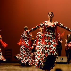 Fotografía de Talleres de Baile flamenco (ensayo general) - Conservatorio de Danza