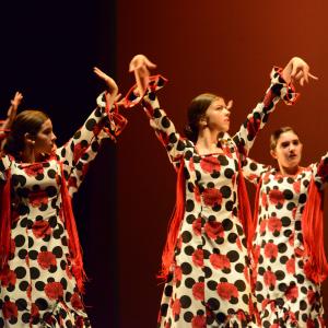 Fotografía de Talleres de Baile flamenco (ensayo general) - Conservatorio de Danza