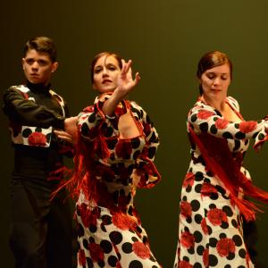 Fotografía de Talleres de Baile flamenco (ensayo general) - Conservatorio de Danza