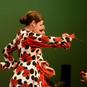 Fotografía de Talleres de Baile flamenco (ensayo general) - Conservatorio de Danza