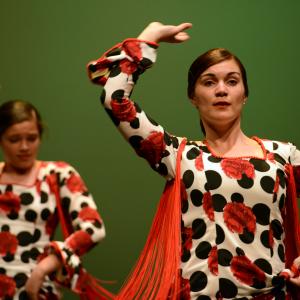 Fotografía de Talleres de Baile flamenco (ensayo general) - Conservatorio de Danza