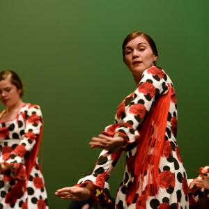 Fotografía de Talleres de Baile flamenco (ensayo general) - Conservatorio de Danza