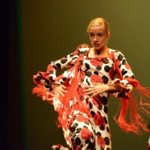 Fotografía de Talleres de Baile flamenco (ensayo general) - Conservatorio de Danza