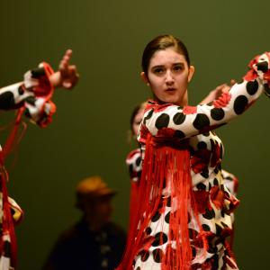 Fotografía de Talleres de Baile flamenco (ensayo general) - Conservatorio de Danza