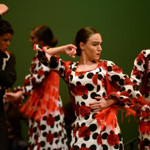 Fotografía de Talleres de Baile flamenco (ensayo general) - Conservatorio de Danza