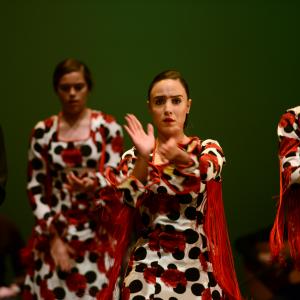 Fotografía de Talleres de Baile flamenco (ensayo general) - Conservatorio de Danza
