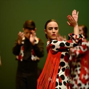 Fotografía de Talleres de Baile flamenco (ensayo general) - Conservatorio de Danza