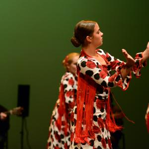 Fotografía de Talleres de Baile flamenco (ensayo general) - Conservatorio de Danza