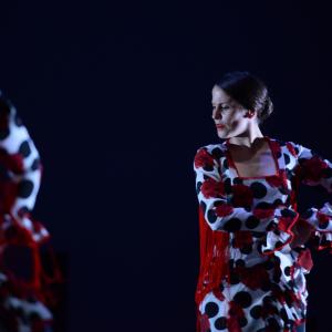 Fotografía de Talleres de Baile flamenco (ensayo general) - Conservatorio de Danza
