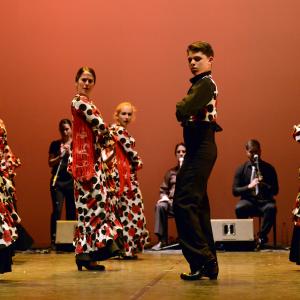 Fotografía de Talleres de Baile flamenco (ensayo general) - Conservatorio de Danza