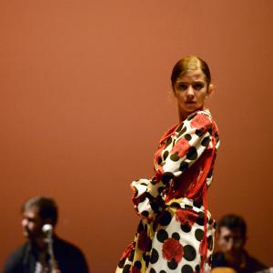 Fotografía de Talleres de Baile flamenco (ensayo general) - Conservatorio de Danza