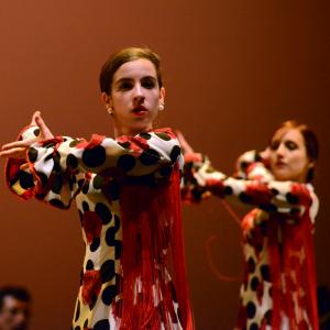 Fotografía de Talleres de Baile flamenco (ensayo general) - Conservatorio de Danza