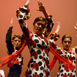 Fotografía de Talleres de Baile flamenco (ensayo general) - Conservatorio de Danza