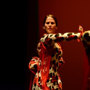Fotografía de Talleres de Baile flamenco (ensayo general) - Conservatorio de Danza