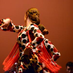 Fotografía de Talleres de Baile flamenco (ensayo general) - Conservatorio de Danza
