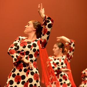 Fotografía de Talleres de Baile flamenco (ensayo general) - Conservatorio de Danza
