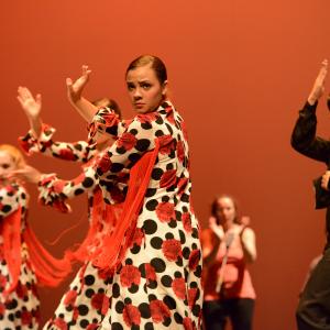 Fotografía de Talleres de Baile flamenco (ensayo general) - Conservatorio de Danza