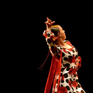 Fotografía de Talleres de Baile flamenco (ensayo general) - Conservatorio de Danza