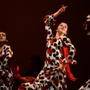 Fotografía de Talleres de Baile flamenco (ensayo general) - Conservatorio de Danza