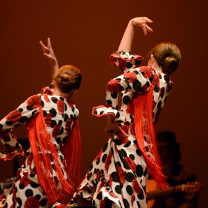 Fotografía de Talleres de Baile flamenco (ensayo general) - Conservatorio de Danza