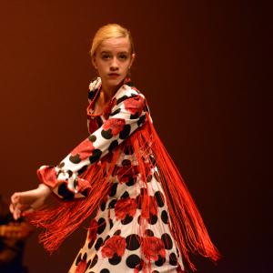 Fotografía de Talleres de Baile flamenco (ensayo general) - Conservatorio de Danza