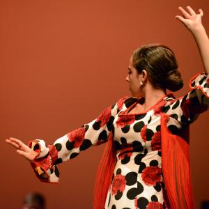 Fotografía de Talleres de Baile flamenco (ensayo general) - Conservatorio de Danza