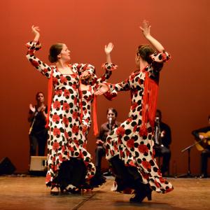Fotografía de Talleres de Baile flamenco (ensayo general) - Conservatorio de Danza