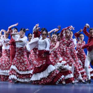 Fotografía de Talleres de Baile flamenco (ensayo general) - Conservatorio de Danza