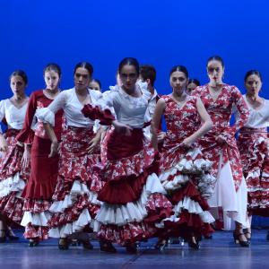 Fotografía de Talleres de Baile flamenco (ensayo general) - Conservatorio de Danza