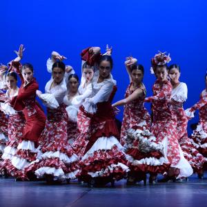 Fotografía de Talleres de Baile flamenco (ensayo general) - Conservatorio de Danza