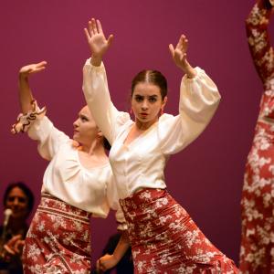 Fotografía de Talleres de Baile flamenco (ensayo general) - Conservatorio de Danza
