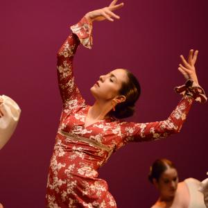 Fotografía de Talleres de Baile flamenco (ensayo general) - Conservatorio de Danza