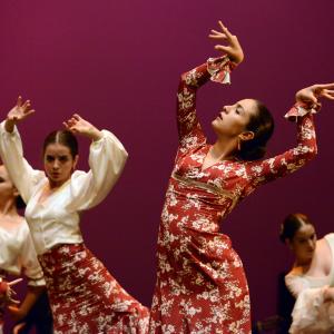 Fotografía de Talleres de Baile flamenco (ensayo general) - Conservatorio de Danza