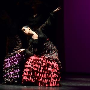 Fotografía de Talleres de Baile flamenco (ensayo general) - Conservatorio de Danza