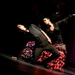 Fotografía de Talleres de Baile flamenco (ensayo general) - Conservatorio de Danza