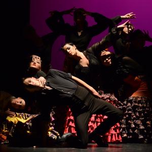 Fotografía de Talleres de Baile flamenco (ensayo general) - Conservatorio de Danza