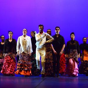 Fotografía de Talleres de Baile flamenco (ensayo general) - Conservatorio de Danza