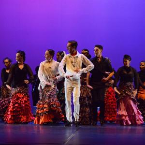 Fotografía de Talleres de Baile flamenco (ensayo general) - Conservatorio de Danza