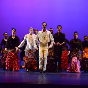 Fotografía de Talleres de Baile flamenco (ensayo general) - Conservatorio de Danza