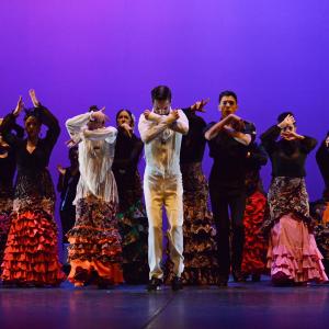 Fotografía de Talleres de Baile flamenco (ensayo general) - Conservatorio de Danza