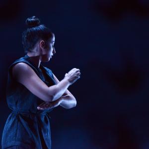 Fotografía de Whistleblower - Conservatorio de Danza