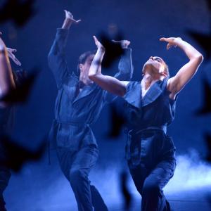 Fotografía de Whistleblower - Conservatorio de Danza