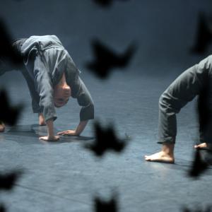 Fotografía de Whistleblower - Conservatorio de Danza