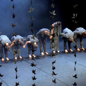 Fotografía de Whistleblower - Conservatorio de Danza