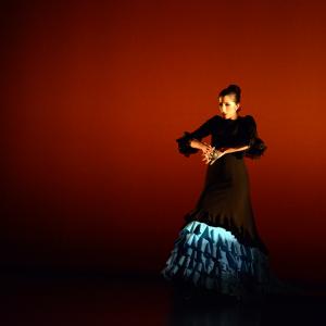Fotografía de Muestra de Danza de los Talleres de Oscar Quero - Oscar Quero