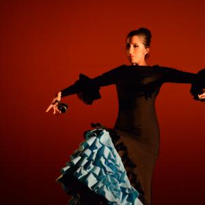 Fotografía de Muestra de Danza de los Talleres de Oscar Quero - Oscar Quero