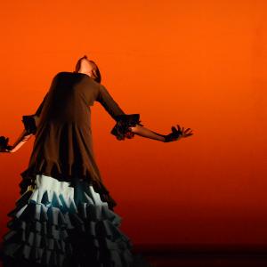 Fotografía de Muestra de Danza de los Talleres de Oscar Quero - Oscar Quero