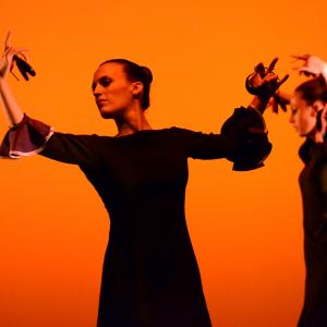 Fotografía de Muestra de Danza de los Talleres de Oscar Quero - Oscar Quero