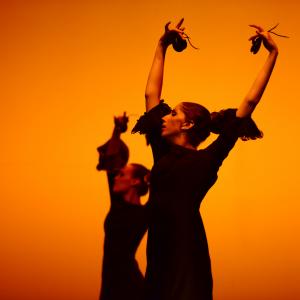 Fotografía de Muestra de Danza de los Talleres de Oscar Quero - Oscar Quero