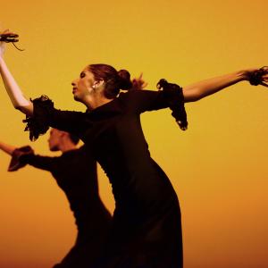 Fotografía de Muestra de Danza de los Talleres de Oscar Quero - Oscar Quero